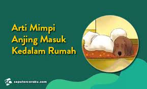 Mimpi ini memberikan sebuah pertanda yang buruk. Arti Mimpi Anjing Masuk Kedalam Rumah Lengkap
