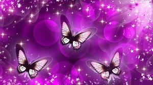 Explore and download more than million+ free png transparent images. Purple Butterfly Wallpapers Wallpaper Cave