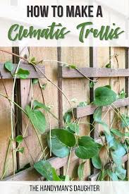 How to plant clematis on a trellis. How To Add A Clematis Trellis To A Flat Fence The Handyman S Daughter