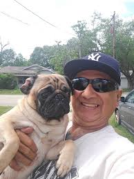 Good morning from Figgy. Have a great day. 💘