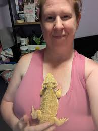 bearded dragon bonding time