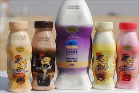 Aadvik foods and products private limited. Dubai S Camelicious Sees Potential European Us Market For Camel Milk Green Prophet