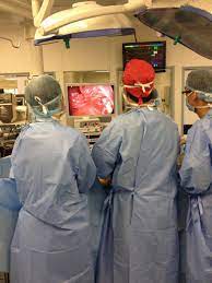 University of malaya | um · department of surgery. Prof Dr Raja Amin Raja Mohktar Home Facebook