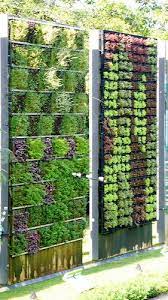 Diy Indoor Green Wall With Plants That Purify Your Home Vertical Garden Living Wall Garden Wall Garden