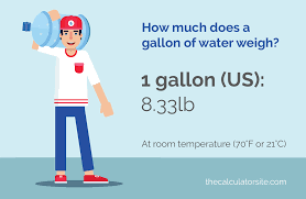 How Much Does A Gallon Of Water Weigh