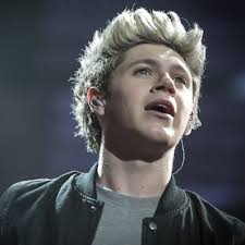 I went into this movie as not a huge one direction fan, but came out on the other side as a definite fan of them and their music. One Direction This Is Us Movie Review Niall In 3d Sheknows