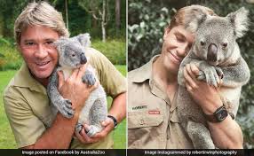 Steve was tops in all that he did Steve Irwin S Son Robert Irwin Recreates His Iconic Koala Pic
