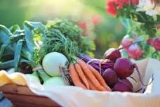 Growing Summer Vegetables