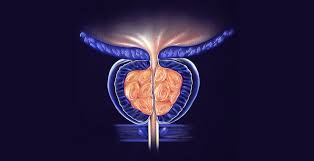 Con estratto di ajuga reptans. Vitaminity Ajuga Reptans Extract 10 1 500mg