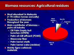Incremental biomass demand, sustainable biomass demand and full biomass demand are introduced. Suraini Abd Aziz Mohd Ali Hassan Universiti Putra Malaysia Biomass R D Activities In Malaysia Ppt Download