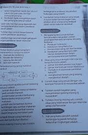Contoh dari siklus rantai makanan yang satu ini yakni : Rantai Makanan Di Laut Brainly