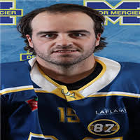 Ligue Hockey Côte-Sud