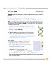Selection natural gizmo answers exploration student worksheet key answer evolution coursehero pdf date course hero docx geiger. Vinicio Rodriguez Dna Structure Gizmo Pdf Student Exploration Building Dna Directions Follow The Instructions To Go Through The Simulation Respond Course Hero
