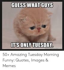 Go through some funny memes, graphics, and sayings about tuesday to share on with your colleagues on facebook, pinterest. Funny Quotes Good Morning Tuesday Funny Images