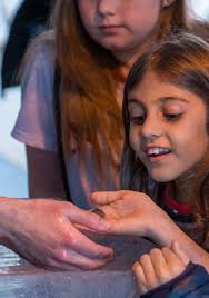 National MagLab 2020 Annual Report