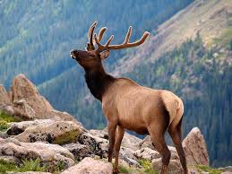 What are the top attractions to visit in county clare? 16 Top Rated Attractions Places To Visit In Colorado Usa Planetware