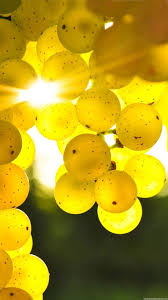 Check spelling or type a new query. Android Hd Wallpapers For Mobile Group 71