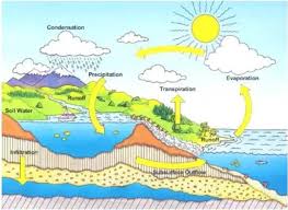 Soil evaporasi adalah penguapan yang terjadi dari permukaan tanah tanpa ada tanaman di atasnya (bare soil). Proses Apa Saja Yang Terjadi Dalam Siklus Air Brainly Co Id
