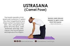 How to stretch with camel pose. Health Benefits Of Camel Pose Ustransan John Anene
