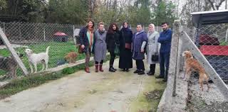 Hayvan Barinagini Ziyaret Ettiler