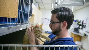 Maybe you would like to learn more about one of these? Midwestern University Opens First Az Vet School In Glendale