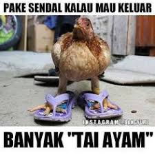 Gambar Editan Lucu Keren Gokil Terbaru Gambar Lucu Lucu Foto Lucu