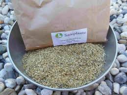 Epingle Sur Saniplante