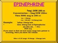 Epinephrine Drip Rate Chart Related Keywords
