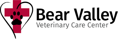 Free Free Vet Life Svg 489 SVG PNG EPS DXF File