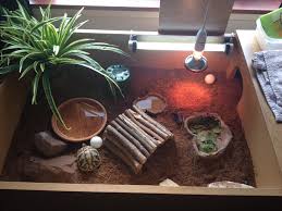 Tortoise Table Enclosure Tortoise Table Tortoise Care Tortoises