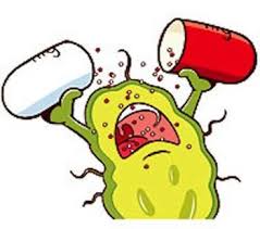 Antibiotic Resistant Bacteria Is On The Rise What To Do Antibiotic Bacteria Health Info