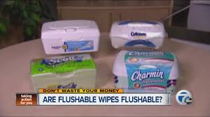 Check spelling or type a new query. Are Flushable Wipes Really Flushable Youtube
