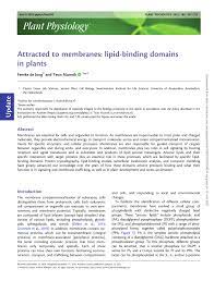 Check spelling or type a new query. Phospholipid Biosynthesis And Signalling In Plants Pa Has A Dual Role Download Scientific Diagram