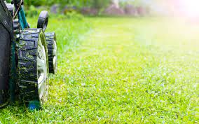 When Should I Start Cutting The Grass