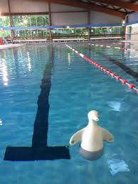 Seances Piscine De Sevres Page 5 7 Nageurs Com