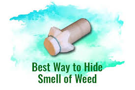 We did not find results for: Best Way To Hide Smell Of Weed Leaf Expert