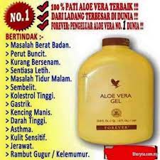 Cara memutihkan kulit wajah dengan aloe vera, terbukti !! Aloe Vera Gel Forever Business For Sale For Sale In Johor Bahru Johor Sheryna Com My Mobile 750739