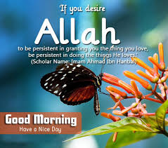 لا إلهَ إلاّ اللّهُ وحْـدَهُ لا شَريكَ لهُ، لهُ المُلكُ ولهُ الحَمْد، وهُوَ على كُلّ شَيءٍ قَـدير. Quran Quotes On Morning Quotesgram