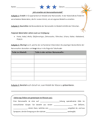 modellbau einer nervenzelle unterrichtsmaterial im fach biologie nervenzellen zellen nerve