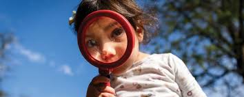 2023-2024 The Tatnall School Annual Report by The Tatnall School