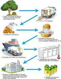 Imagenes Circuito Productivo Jugo De Naranja Buscar Con Google Actividades Para Primaria Actividades De Geografia Actividades De Aprendizaje Preescolares