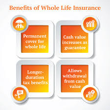 We did not find results for: 3 Situations When Whole Life Insurance Makes Perfect Sense