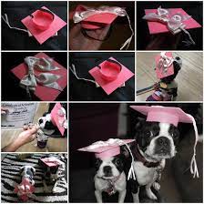 Pin On Doggie Clothes Sewing