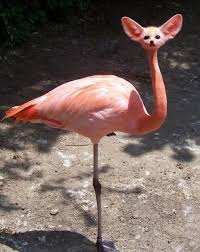 30 Weird Animal Mashup That Either Makes You Cringe Or Smile Feminine Buzz Weird Animal Mashup Photoshopped Animals Weird Animals Fake Animals