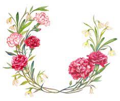 January offers a peaceful sense of release once the holiday season and the former year subside as we drift into the new year. 7 January Birth Flowers Ideas Birth Flowers January Birth Flowers Flowers