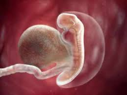 5 Weeks Pregnant Your Body Is Changing Times Of India