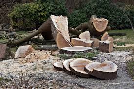 Außerdem könnten sie so einen tisch problemlos in den garten stellen, sobald sie etwas zum abstellen bauen sie eine kleine kücheninsel aus holzpaletten. Tisch Aus Einer Baumscheibe Bauen Heimwerkertricks Net