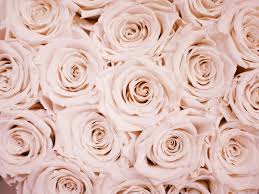 Silk blooms offers you the widest range of bespoke, handmade flowers, customised by and created for you. September Wedding Flowers The Beautiful Blooms In Season For Your Big Day Confetti