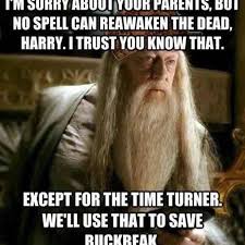 Funny Harry Potter Jokes That Are Pure Magic