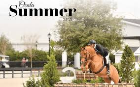 Junior Hunter 3'3 15 & Under Handy